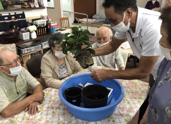 植え替え