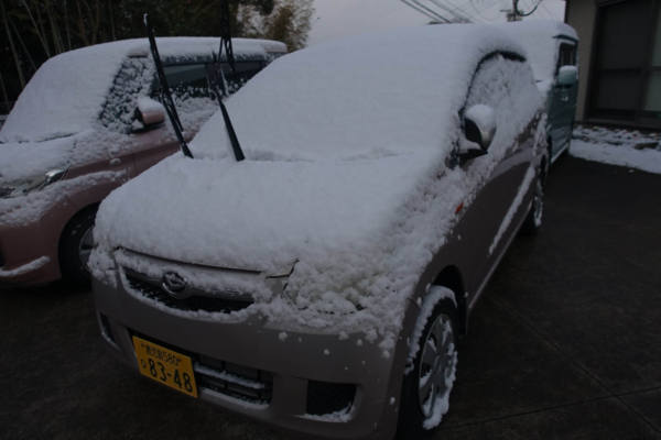 鹿児島　デイサービス　雪