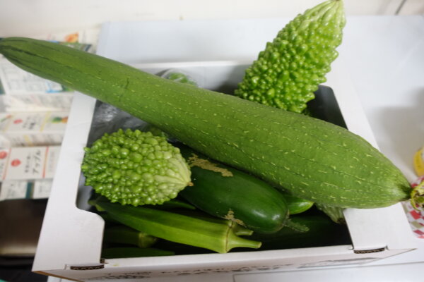 鹿児島　デイサービス　園芸　野菜　昼食