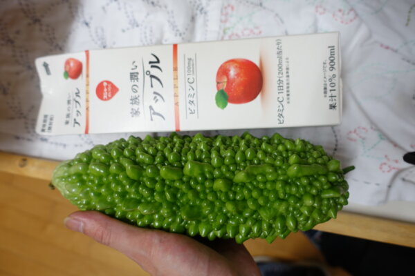 鹿児島　デイサービス　園芸　野菜　昼食