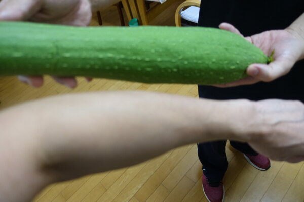 鹿児島　デイサービス　園芸　野菜　昼食