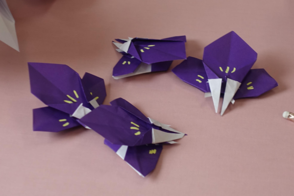 鹿児島ディサービス 菖蒲 壁紙