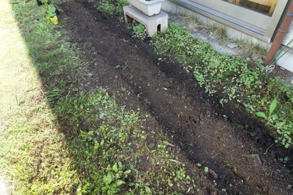 鹿児島ディサービス　園芸　耕し