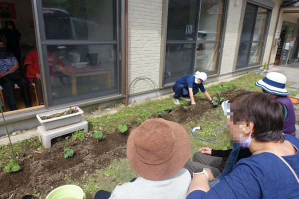 鹿児島ディサービス　園芸　苗植え