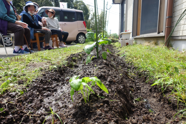 鹿児島ディサービス　園芸　苗植え