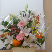 鹿児島スター俱楽部よしの　敬老の日　祝い