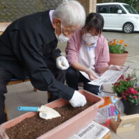 鹿児島スター俱楽部よしの　園芸　活動