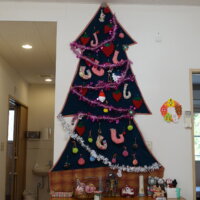 鹿児島スター俱楽部よしの　ツリー　完成