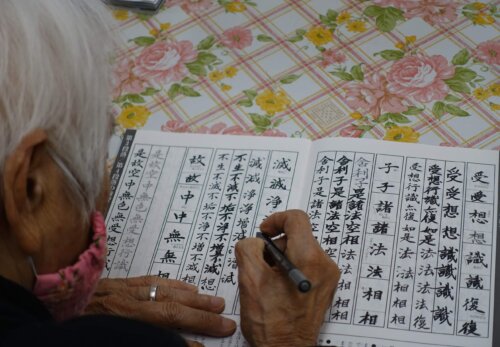 鹿児島スター俱楽部よしの　脳トレ　写経