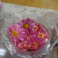 鹿児島 デイサービス スター倶楽部よしの 園芸