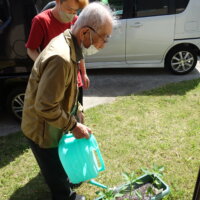 鹿児島ディサービス 水やり 活動
