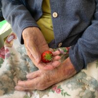 鹿児島　デイサービス　スター倶楽部　イチゴ