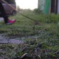 鹿児島ディサービス　草刈り　作業