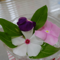 鹿児島ディサービス　花手水　完成