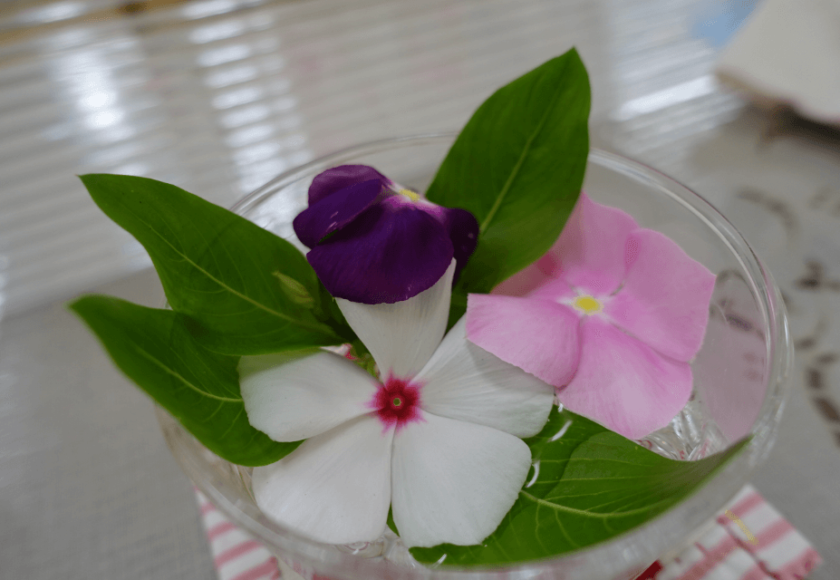 鹿児島ディサービス 花手水 完成