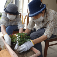 鹿児島ディサービス　園芸活動　花