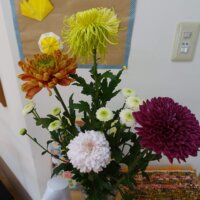 鹿児島デイサービス スター倶楽部 園芸 お花