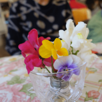 鹿児島デイサービス 花生け 活動