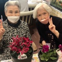 シクラメンと