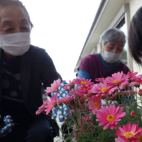 鹿児島ディサービス　花摘み　園芸活動