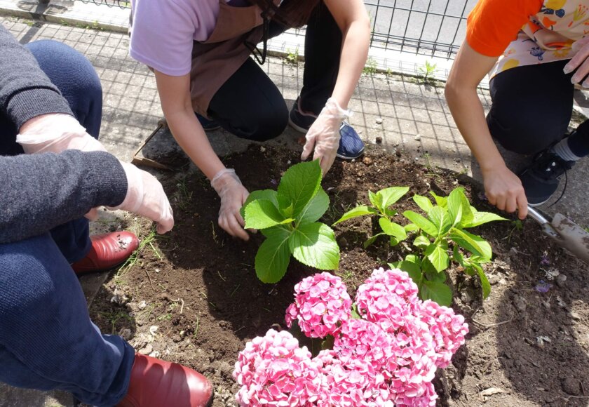 鹿児島デイサービス　園芸