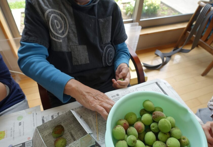 鹿児島デイサービス　スター倶楽部よしの　梅