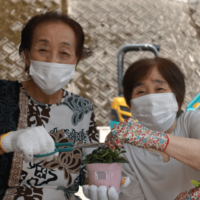 鹿児島ディサービス 園芸 活動