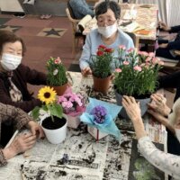 植え替えグループ