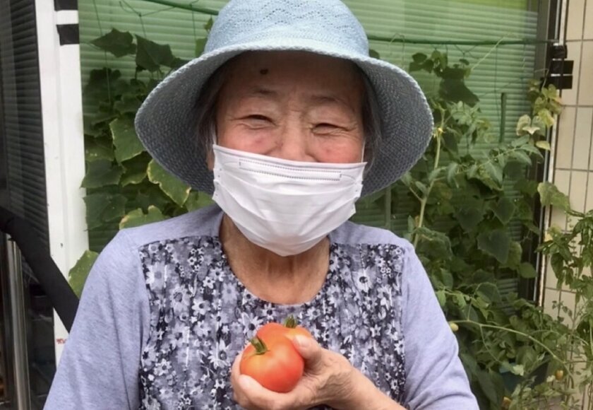 トマト