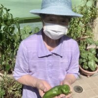 ピーマン