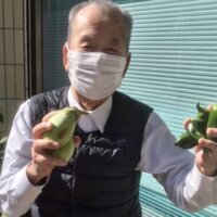 ナスとピーマン