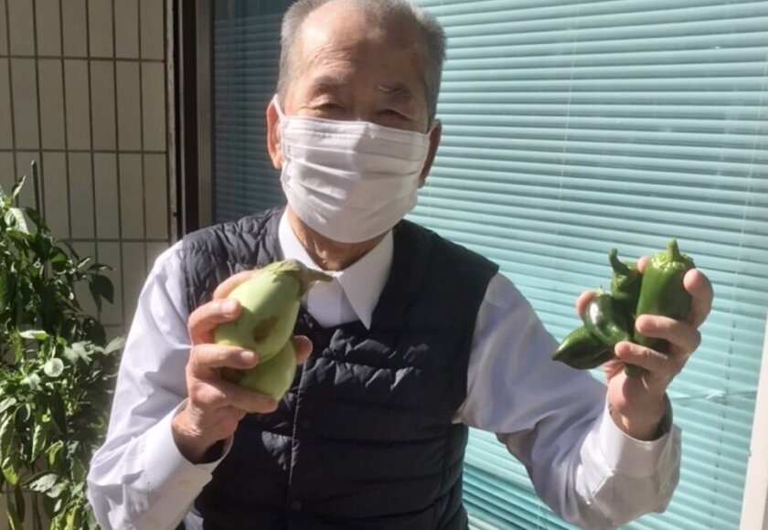 ナスとピーマン