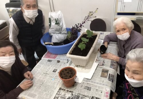 植え替えだよ
