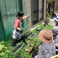 鹿児島　デイサービス　園芸活動　野菜