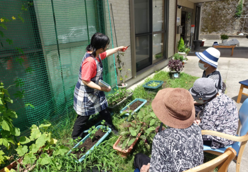 鹿児島 デイサービス 園芸活動 野菜