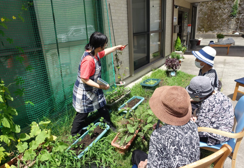 鹿児島 デイサービス 園芸活動 野菜