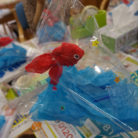 鹿児島　デイサービス　創作活動　金魚