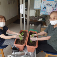 鹿児島 デイサービス 園芸活動