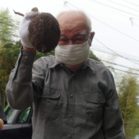 鹿児島 デイサービス 園芸 芋掘り