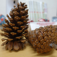 鹿児島ディサービス 松ぼっくり クリスマス
