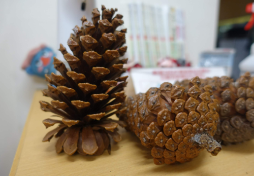 鹿児島ディサービス 松ぼっくり クリスマス