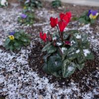 鹿児島　デイサービス　降雪　寒い