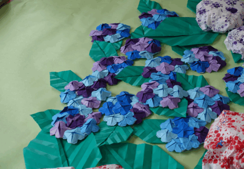 鹿児島ディサービス アジサイ 壁紙