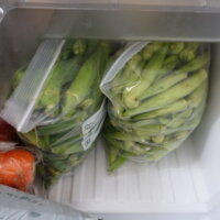 鹿児島 デイサービス 園芸 野菜 夏野菜