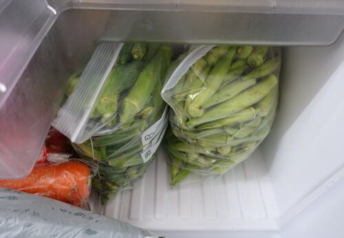 鹿児島　デイサービス　園芸　野菜　夏野菜