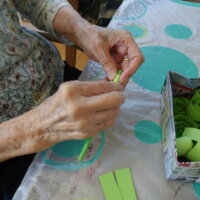 鹿児島　デイサービス　創作活動　ブドウ　マスカット