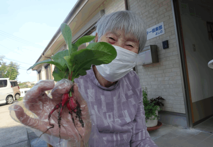 鹿児島デイサービス　園芸活動　大根