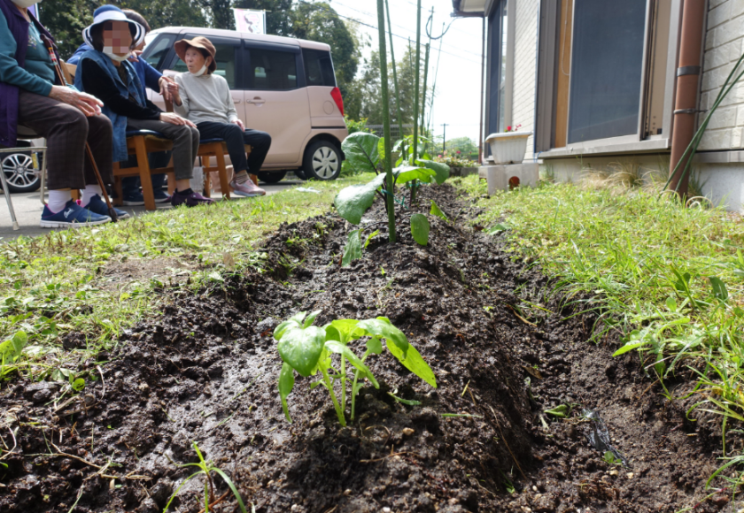 鹿児島ディサービス　園芸　苗植え